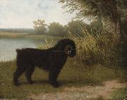 Jacques-Laurent Agasse A black water dog with a stick by a lake